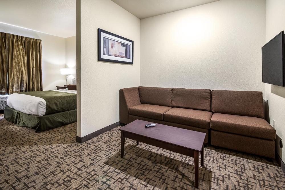 Studio - Disability Access interior